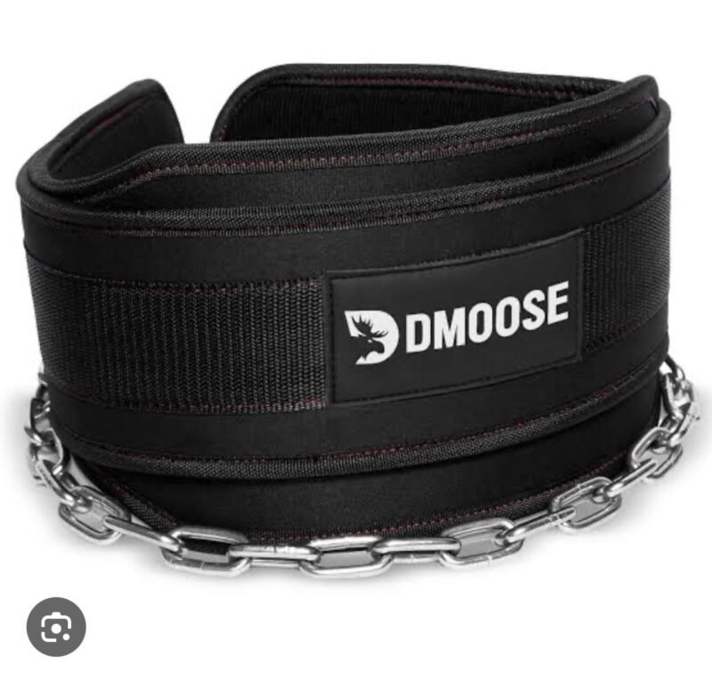 Dips weight belt